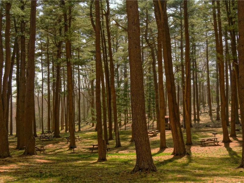 sudoku brain exercise screenshot 4