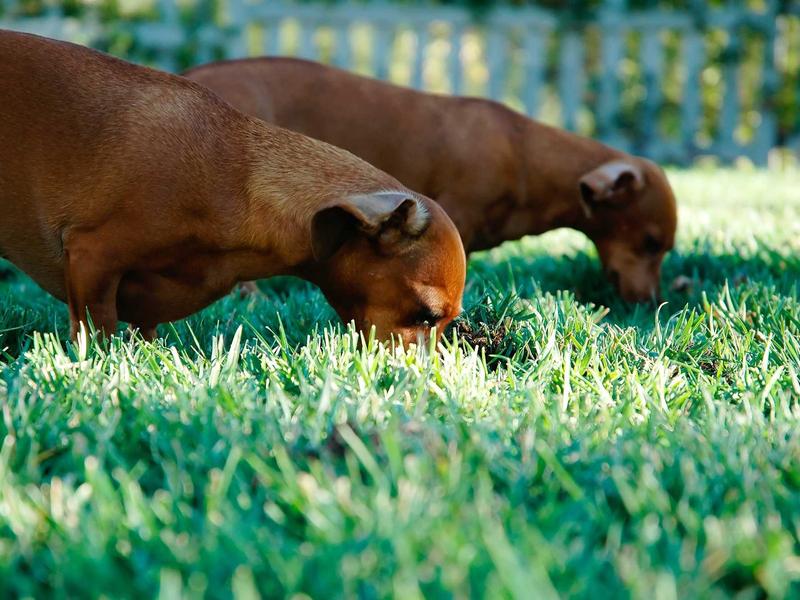sudoku advanced techniques screenshot 4