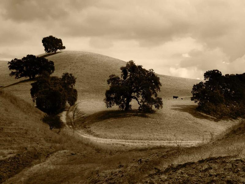 sudoku speed solving screenshot 5