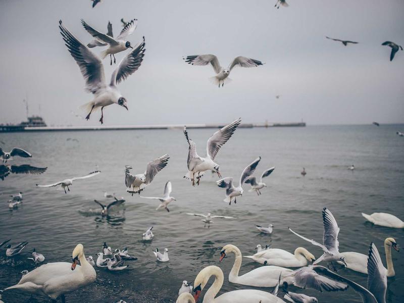 sudoku advanced techniques screenshot 2